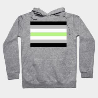 Agender Pride Flag Hoodie